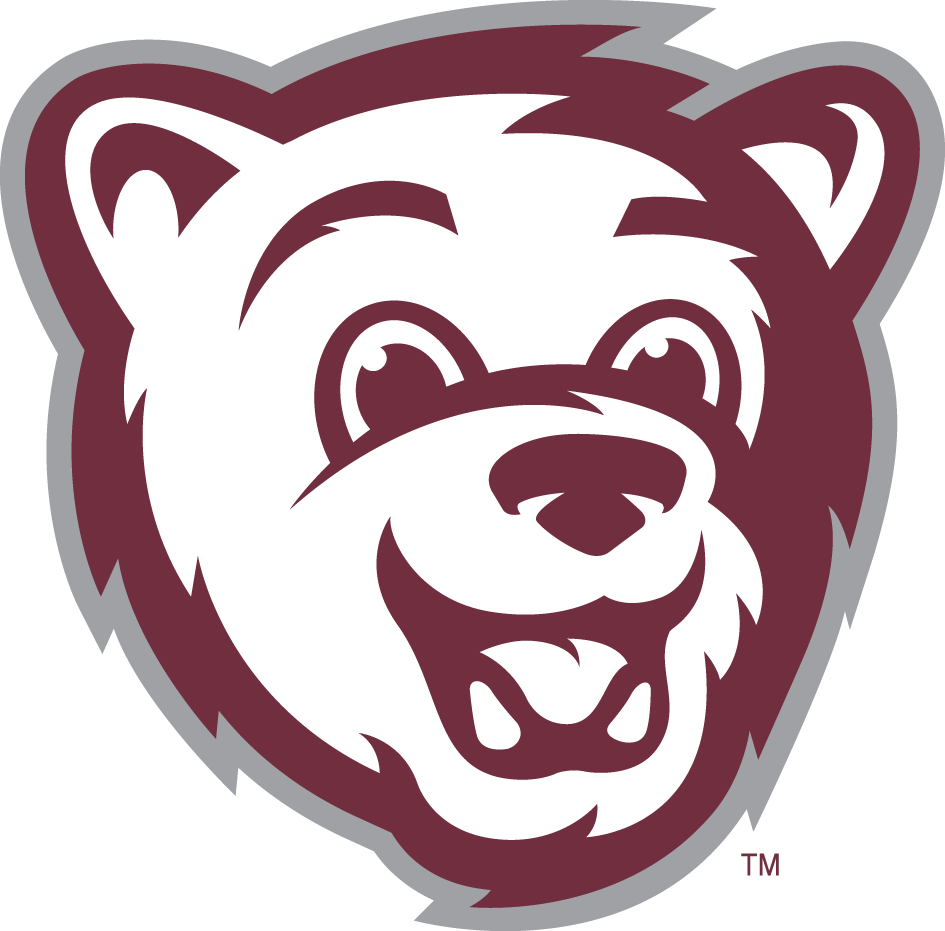 Montana Grizzlies 2010-Pres Mascot Logo 04 iron on paper